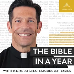 Podcast artwork for The Bible in a Year