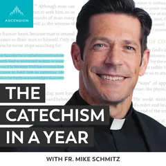 Podcast artwork for The Catechism in a Year